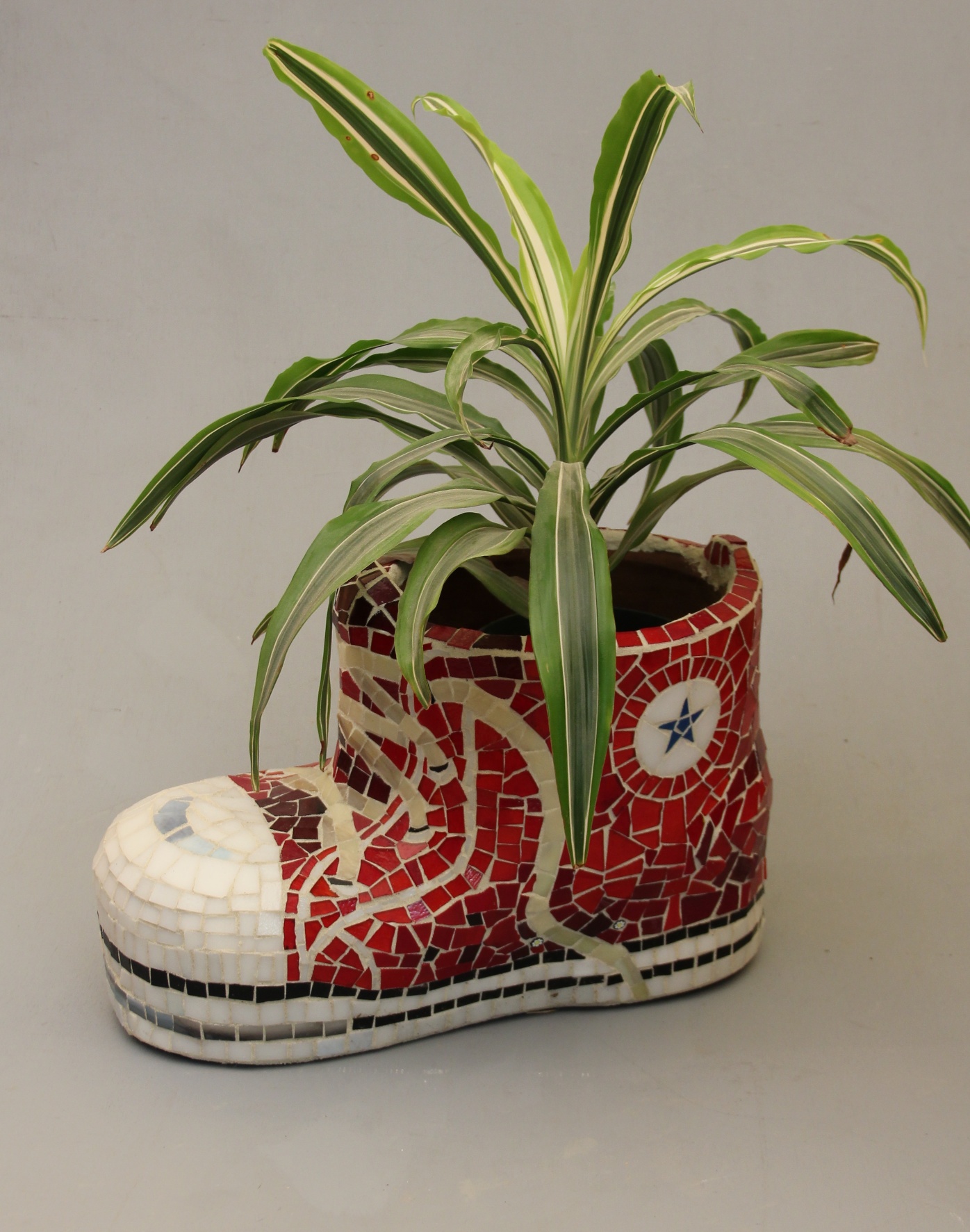 Converse Shoe Planter