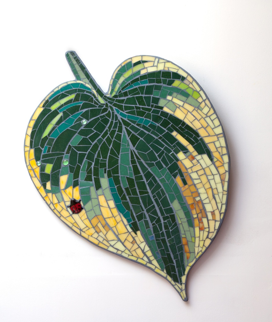 Monstera Leaf